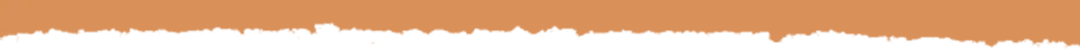 top header mobile