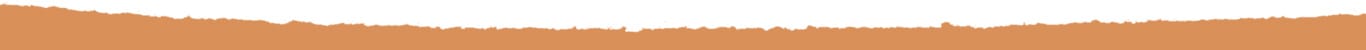 Booking Guide for Businesses, Organizations & Officials - div 001 - ImmersiveIran