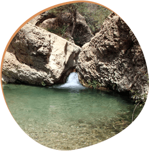 Tange Gambil Hike: Step Into the Stream and Let Nature Guide You Tour
